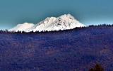 Mt Shasta