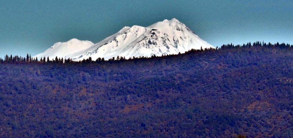 Mt Shasta